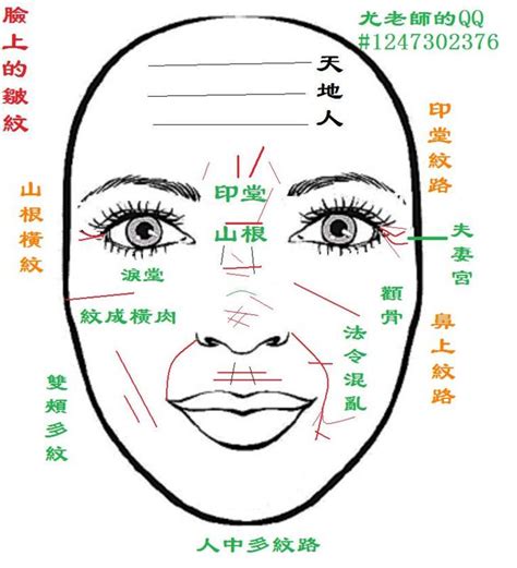 臉上釘子 山 風水